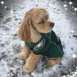 Meet your Posher, Bernnie